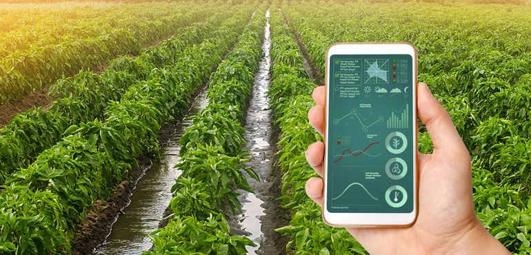 Why Automating Agriculture Is The Future of Farming