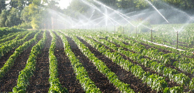 New vs. Traditional Irrigation Systems: Evolution & Comparison