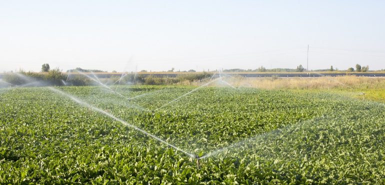 Why Every Agricultural Project Needs a Water Management System